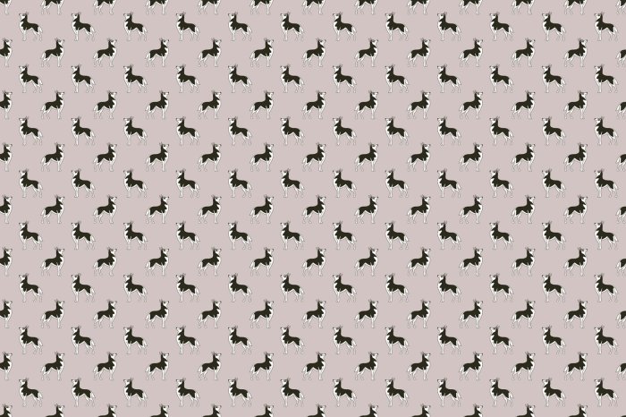Fototapete Minimalistisches Muster mit schwarz-weißen Hunden