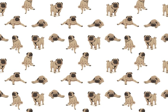 Fototapete Lustige Mops-Hunde auf weißem Hintergrund Illustration