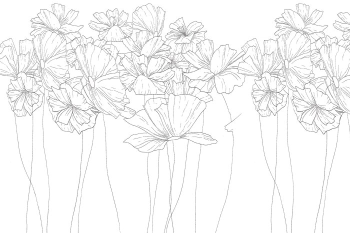 Fototapete Skizzierte Wildblumen auf weißem Hintergrund