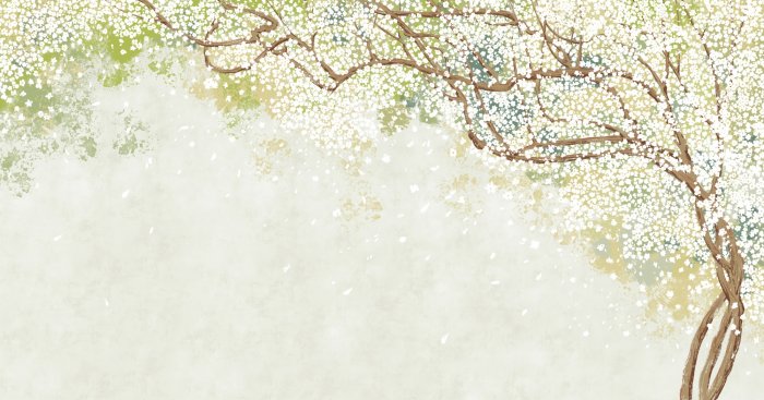 Fototapete Blühender Baum mit weißen Blüten