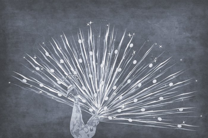 Fototapete Abstrakte Zeichnung eines Pfaus