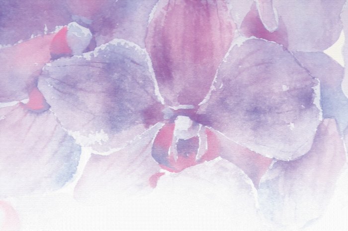 Fototapete Aquarellorchidee in Rosa- und Lilatönen