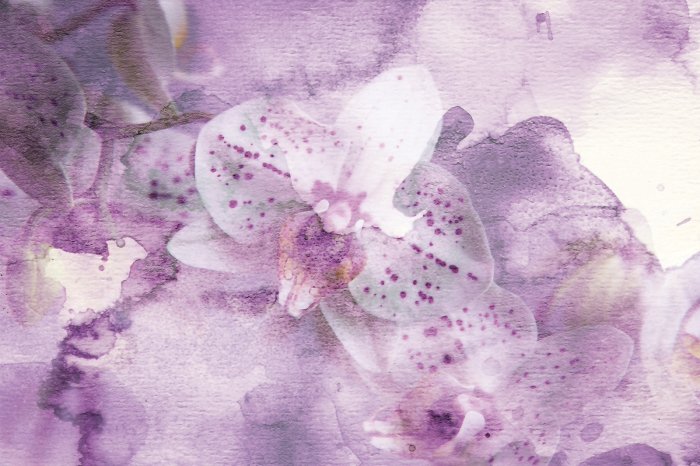 Fototapete Rosa Aquarell Orchideenblüten