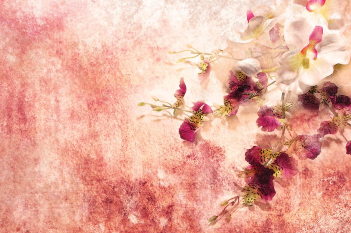 Fototapete Abstrakte rosa Orchideenblüten