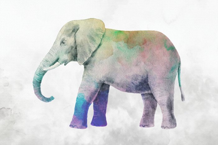 Fototapete Bunter Aquarell-Elefant