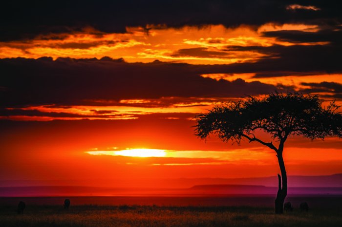 Fototapete Sonnenuntergang auf einer ruhigen Safari