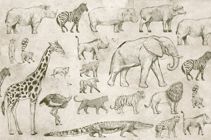 Fototapete Safari-Tiere auf einem Batten-Hintergrund