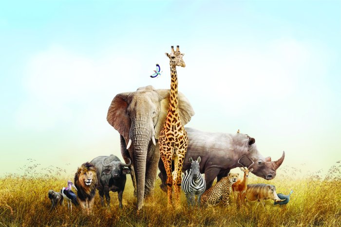 Fototapete Wilde Tiere auf Safari