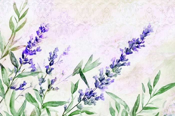 Fototapete Gemalter Lavendel Aquarell