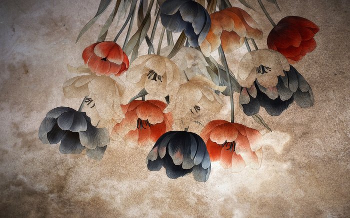 Fototapete Hängende bunte Tulpenblumen