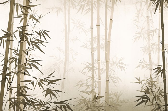 Fototapete Bambuswaldlandschaft