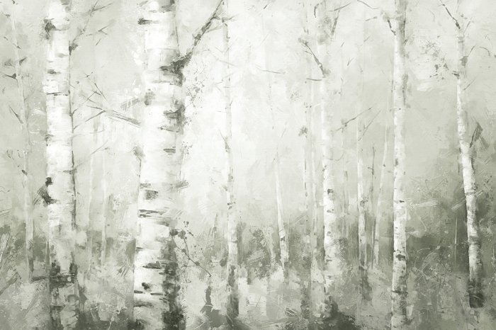 Fototapete Malerische Birkenwaldlandschaft