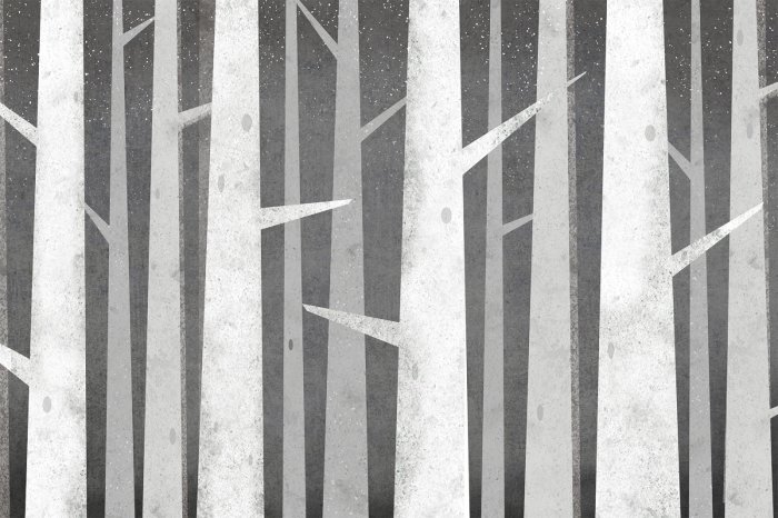 Fototapete Graue Birkenstämme mit dornigen Zweigen