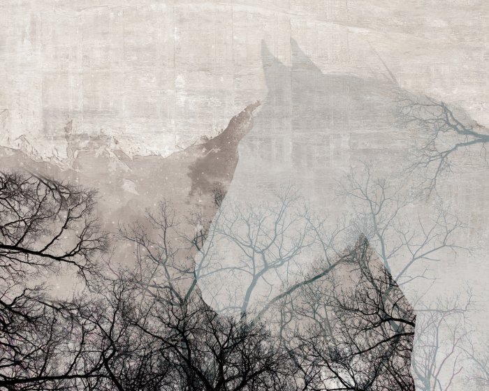 Fototapete Silhouette eines Pferdes zwischen Bäumen