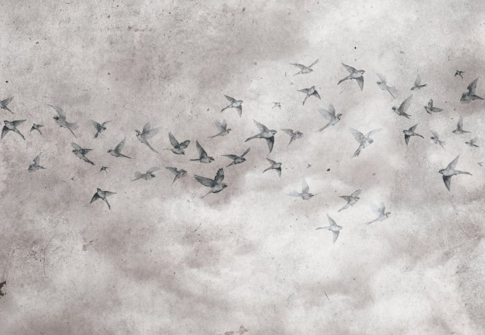 Fototapete Vögel auf Betonhintergrund im Loftstil
