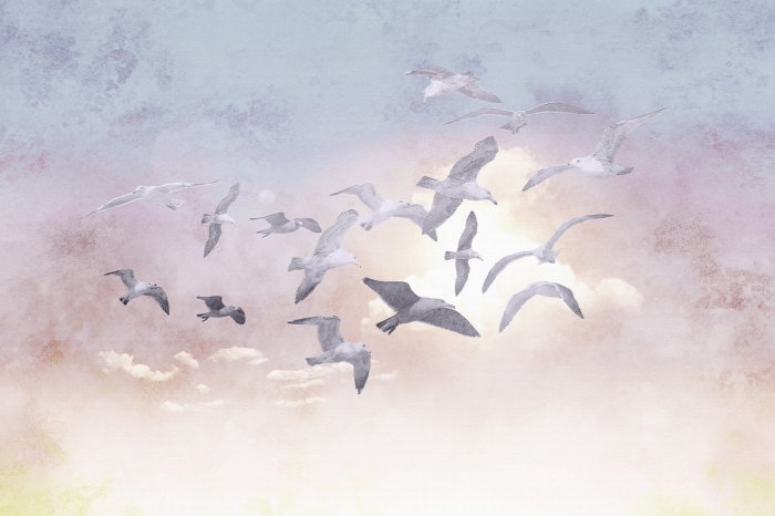 Fototapete Fliegende Vögel vor zartem Himmel