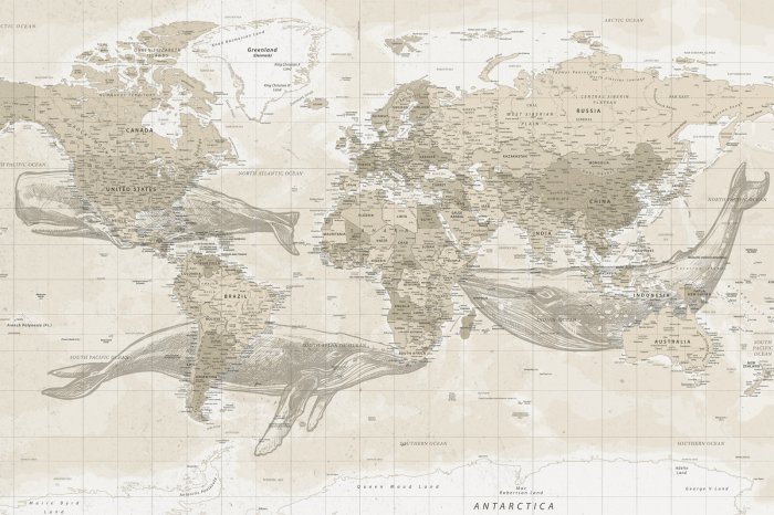 Fototapete Wale und Weltkarte im Vintage-Stil