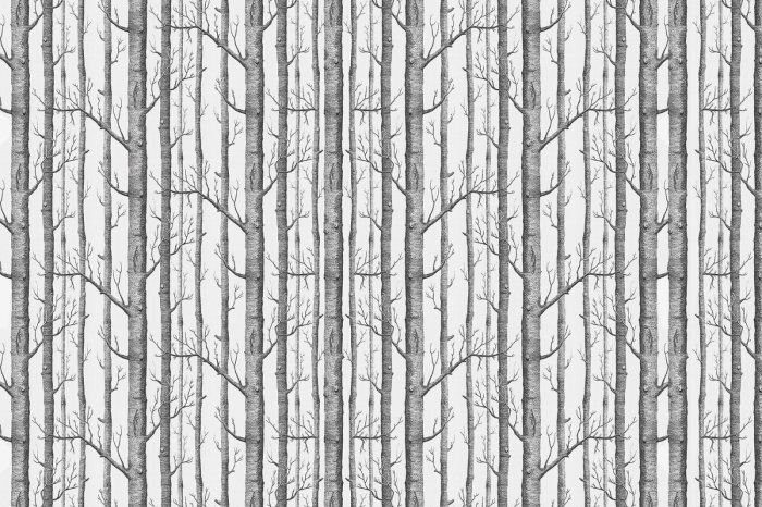 Fototapete Birken in minimalistischer Landschaft