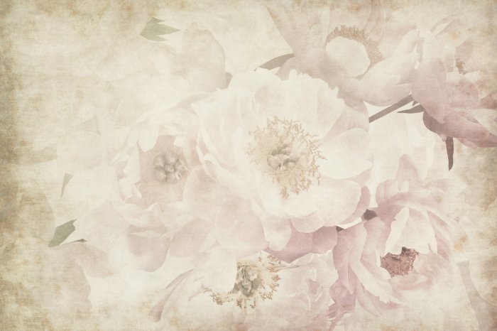 Fototapete Romantische Pfingstrosen im Retro-Stil