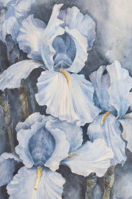 Sticker Hellblaue Irisblumen im Aquarellstil