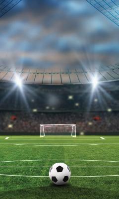 Sticker Ball auf dem Rasen eines Fußballstadions