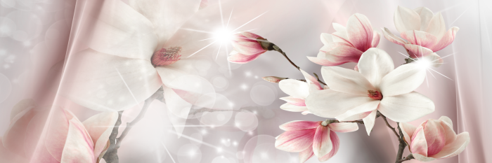 Bild Magnolia Reflection (1 Part) Narrow