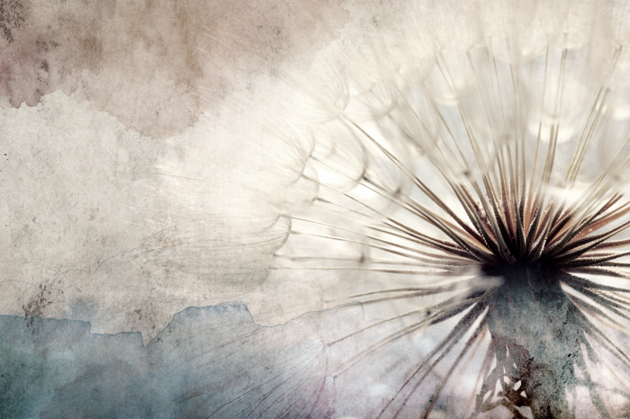 Bild Dandelions in the Clouds (1 Part) Wide