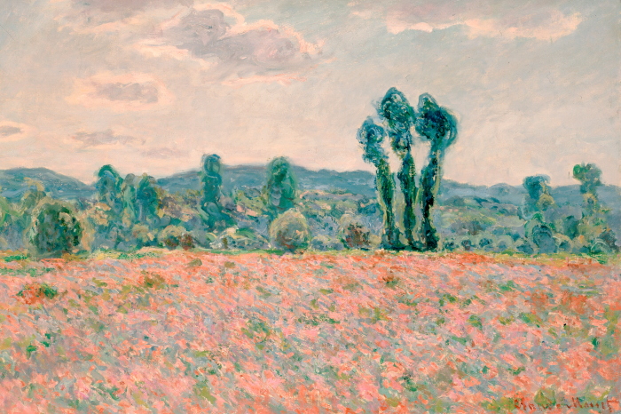 Bild Rote Mohnblumen in einer natürlichen Berglandschaft
