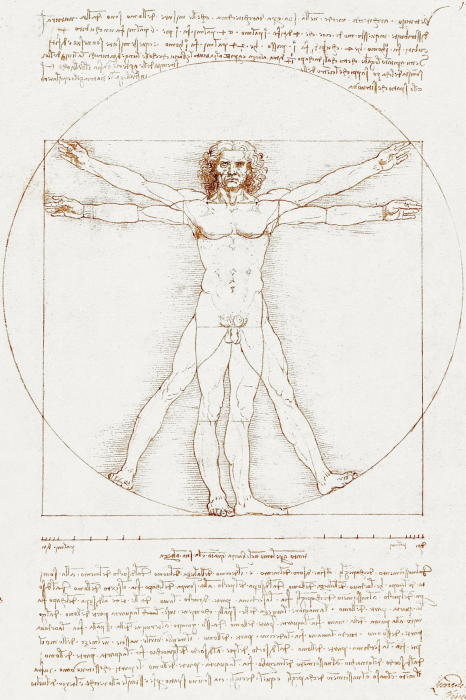 Bild Mathematische Proportionen des menschlichen Körpers nach Vitruv