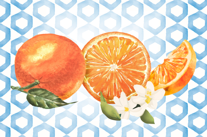 Bild Gemalte Orangen auf geometrischem Hintergrund