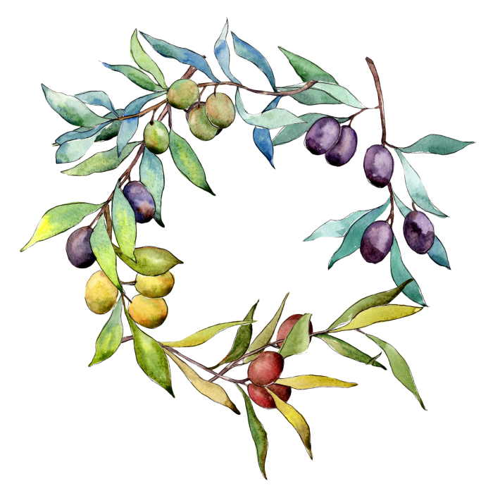 Bild Aquarell-Olivenkranz