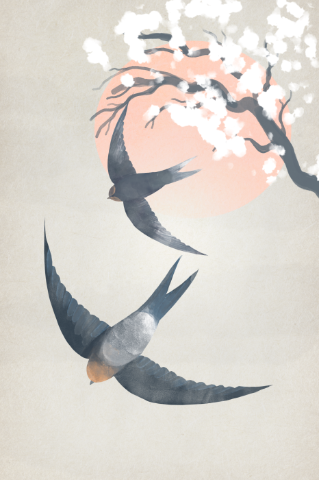 Bild Zwei Schwalben und eine Kirschblüte vor dem Hintergrund der Sonne