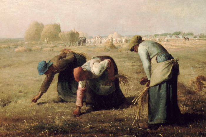 Bild Frauen pflücken Getreideähren auf einem Acker