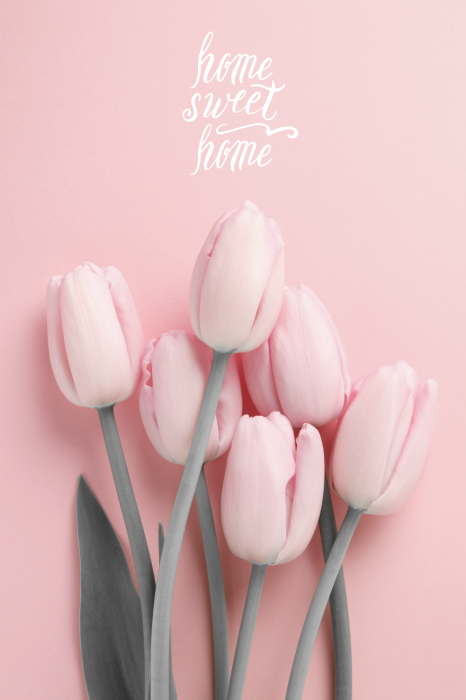 Bild Six Tulips (1 Part) Vertical
