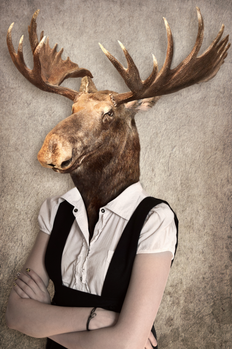 Bild Brainy Moose (1 Part) Vertical