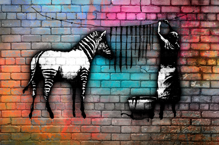 Bild Washing Zebra - Colourful Brick (1 Part) Wide