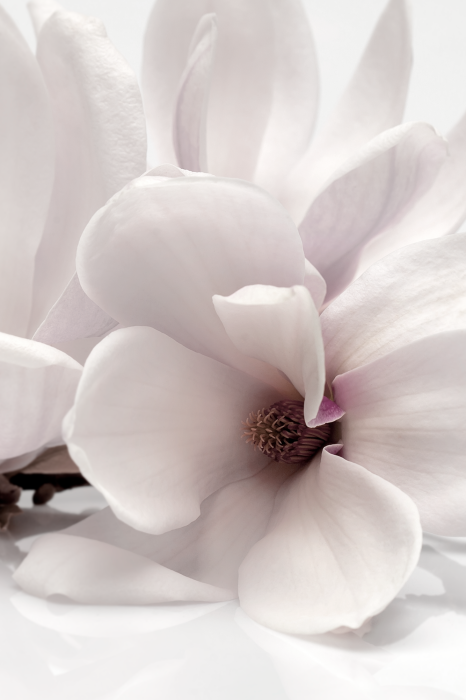 Bild Blooming Light (1 Part) Vertical