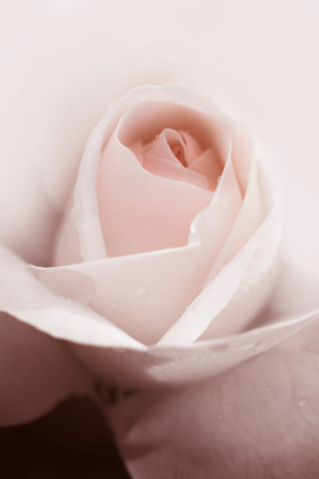 Bild Level of Feelings (1 Part) Vertical