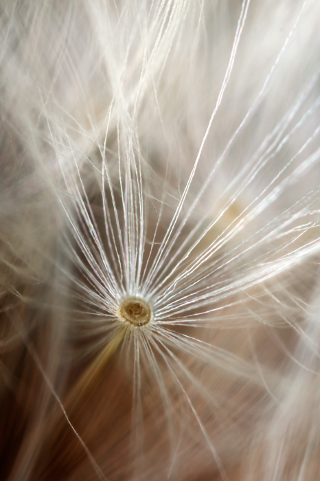 Bild Beginning of Memories (1 Part) Vertical