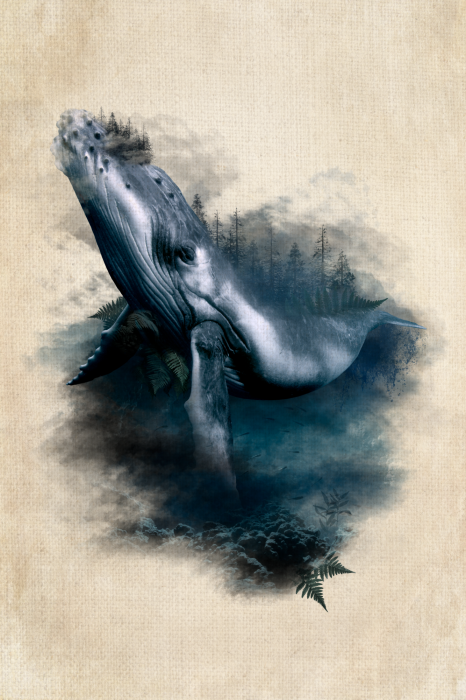 Bild Underwater Adventure (1 Part) Vertical