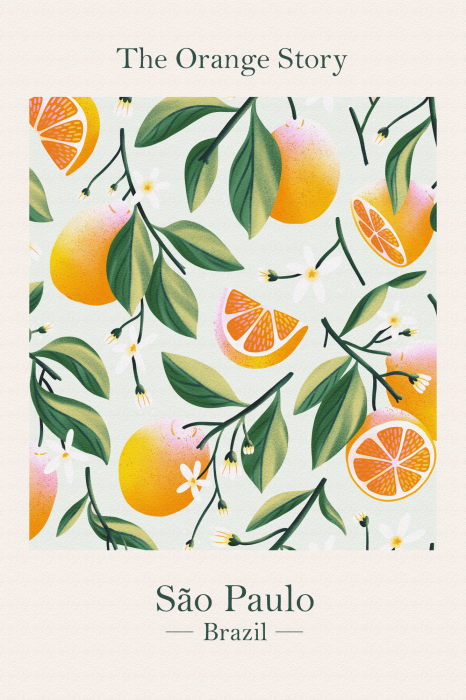 Bild The Orange Story (1 Part) Vertical