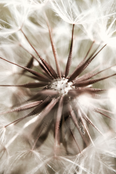 Bild Closeness to Nature (1 Part) Vertical