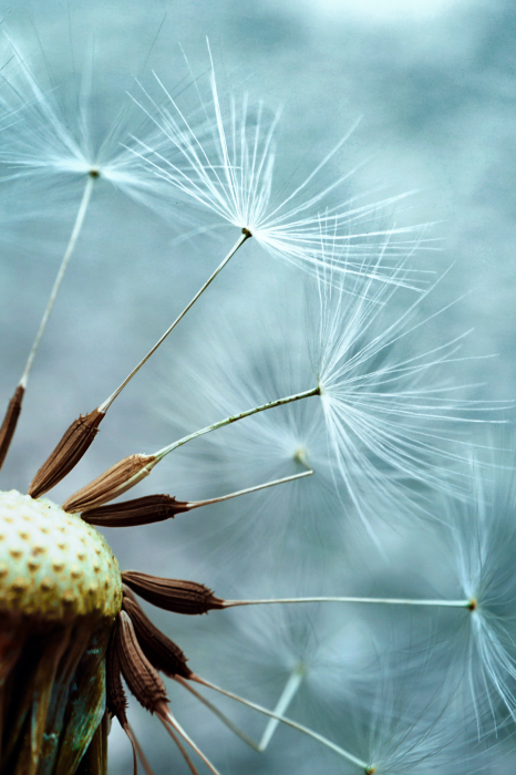 Bild Elevation of Space (1 Part) Vertical