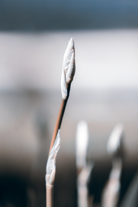 Bild Botanical Minimalism (1 Part) Vertical