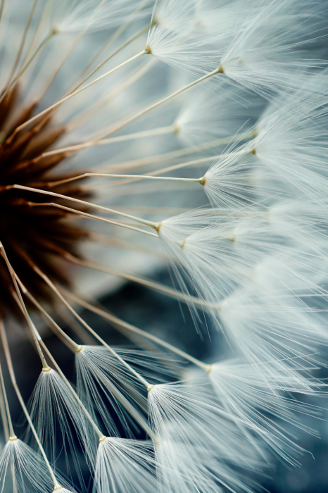 Bild More Memories (1 Part) Vertical