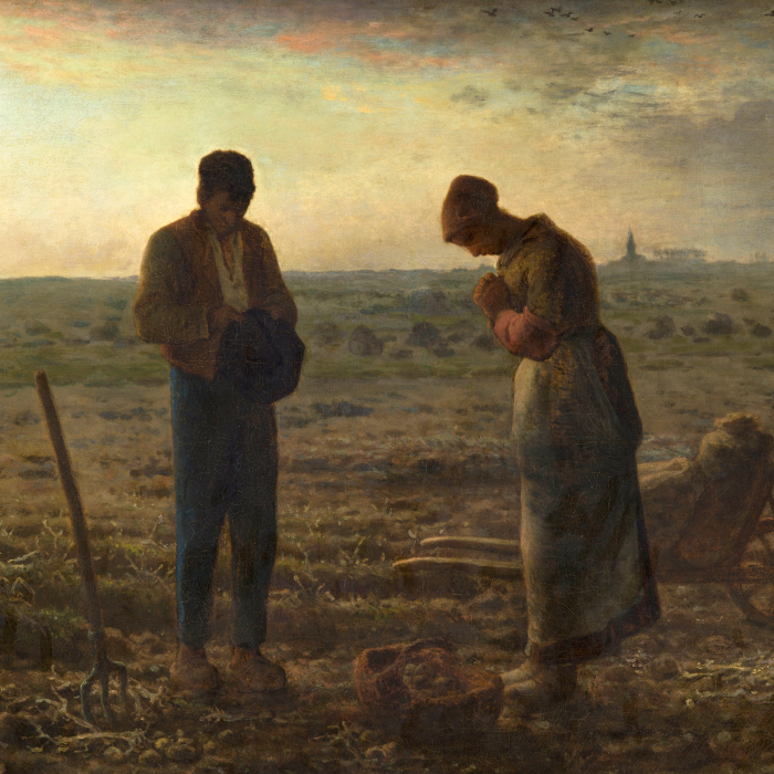 Bild Landwirtschaft und alltägliche Feldarbeit