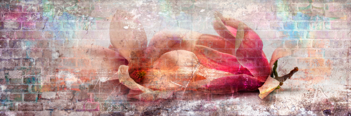 Bild Colourful Magnolias (1 Part) Narrow