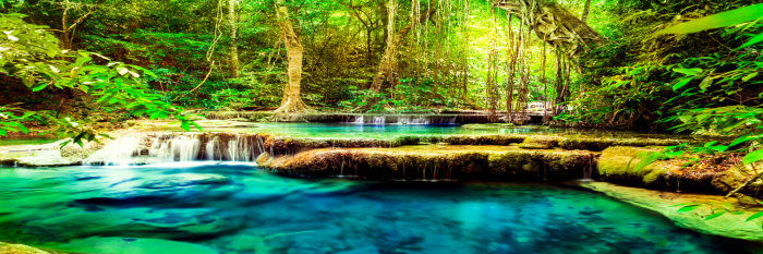 Bild A Jewel of Nature