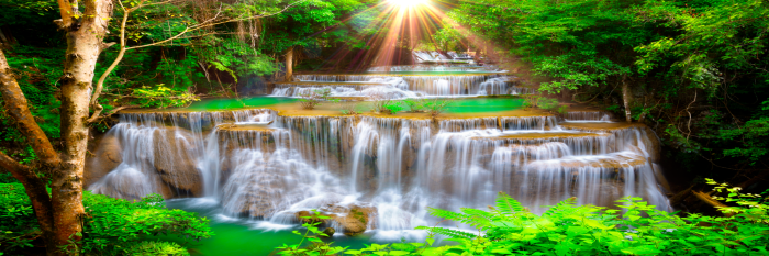 Bild Nature's Masterpiece