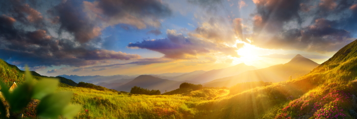 Bild Morning Enchantment